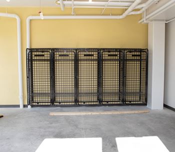An empty room with a cage wall and concrete floor 